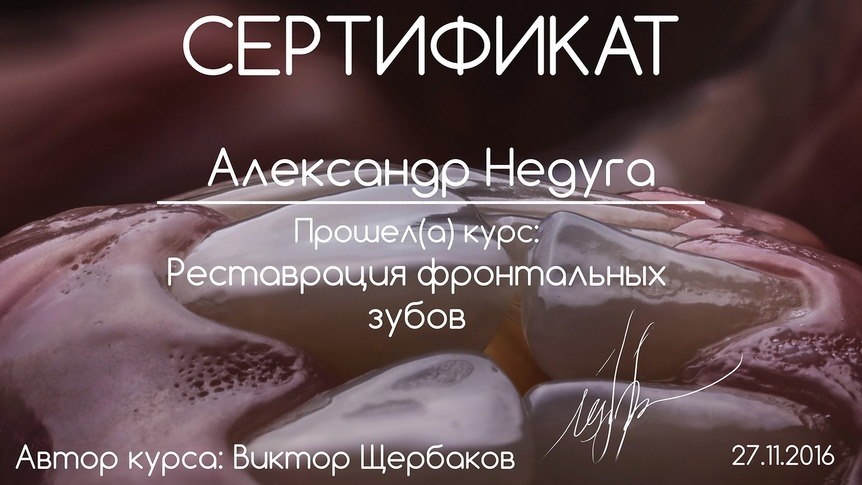 Сертифікат Олександр Недуга